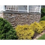 Autumn Mountain Brown Cement Wall Tiles – Standard Primary Size - Image 4